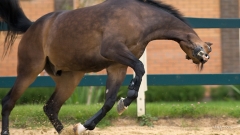 Новости Происшествия - Директор туристической базы в РТ ответит перед судом за смерть школьницы