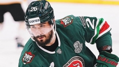 Новости Спорт - «Ак Барс» обыграл «Адмирал» во второй раз