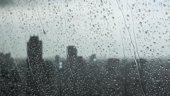 Дождливое лето 2017 или куда уплывают деньги бизнесменов