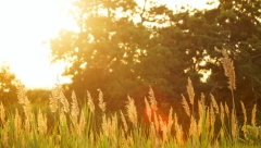 Сегодня в Казани ожидается потепление