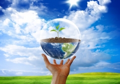 Новости  - В Татарстане награду за фото эконарушений увеличили до 1,5 тыс. рублей