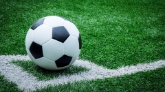 Новости Спорт - Спортсмены республики возобновляют тренировки