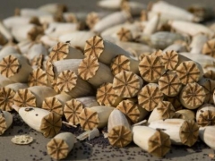 Новости  - Елабужский рецидивист устроил наркосклад в заброшенном парке