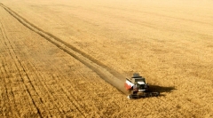 Новости  - Сбор сахарной свеклы в Татарстане завершился почти наполовину