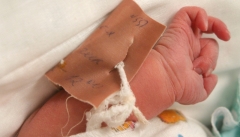 Новости Общество - С 18 по 24 мая в Казани родилось 395 малышей