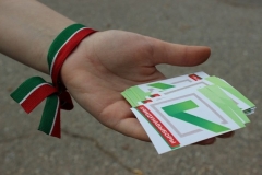 Новости  - Татарстан потратил 226 млн рублей на выборы президента