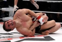 Новости  - Первый чемпионат по смешанному боевому единоборству состоится в Казани 31 августа