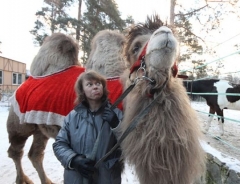 Новости  - Казанцы на аграрном празднике смогут покататься верхом на верблюде и выиграть теленка