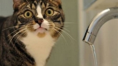 В домах Советского района отключат водоснабжение