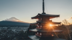 Новости Культура - В Казани пройдут дни японской культуры