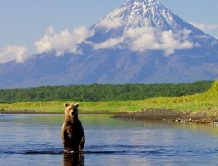 Новости  - Татарстан попал в число лидеров по заявкам на «дальневосточный гектар»