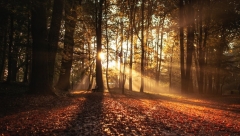 В выходные по республике потеплеет