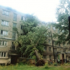 Новости  - После урагана в реанимацию попали три жителя столицы Татарстана