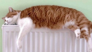 С 15 сентября в Татарстане включат отопление