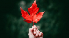 Новости Погода - В Татарстане ожидается потепление к концу недели