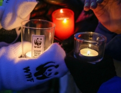 Новости  - 25 марта Казань присоединится к акции «Час Земли»