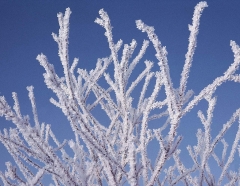 Новости  - В выходные в Казани похолодает