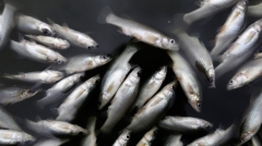 Новости  - В Татарстане введён нерестовый запрет