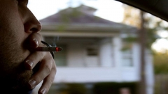 ​В Госдуме предложили запретить курение за рулем