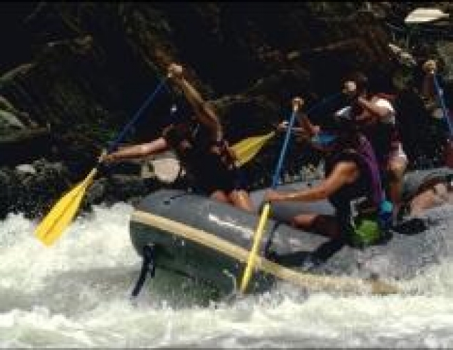 Турагентство или туроператор: в чем отличие