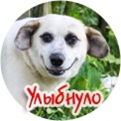 Новости  - Казанцы выбрали самого улыбающегося горожанина