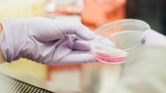 Новости Опережая события - На территории России выявили первые случаи заболевания новым вирусом