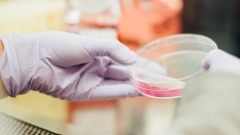 18 140 заболевших COVID-19 выявлено по России за сутки