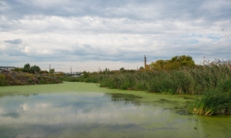 Адмиралтейский пруд очистят за 404 миллиона рублей