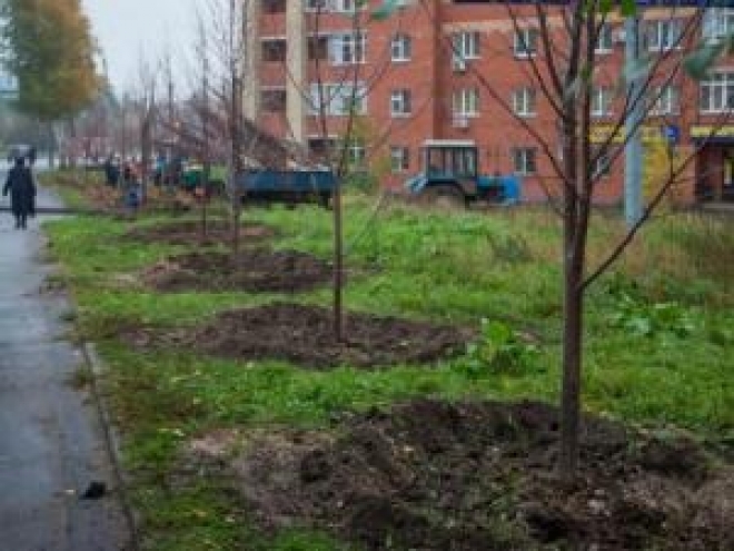 Мэр приглашает казанцев принять участие в массовой посадке деревьев в начале октября