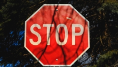 В поселке Отары отремонтируют две улицы