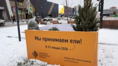 Новости Общество - Пункты приема новогодних елок откроются в регионе