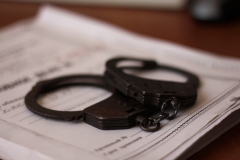 Новости  - С момента ЧП в ОП «Дальний» возбуждено более 600 уголовных дел против татарстанских полицейских