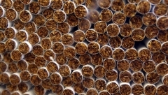 Новости  - От слов к действию.