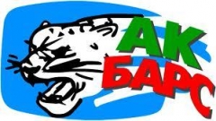 Новости  - «Ак Барс» обыграл «Сибирь» в последнем домашнем матче в 2011 году