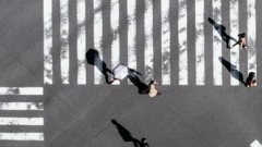 Новости  - С мая запустят процесс установки новых дорожных знаков на территории России