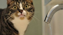 В трех районах Казани на сегодня отключат воду