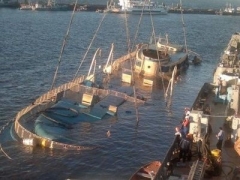 Новости  - Четверо из пяти обвиняемых в гибели «Булгарии» отказались признать свою вину