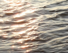 Новости  - В Татарстане названа самая грязная река