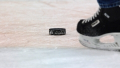 Новости Спорт - Казанский «Ак Барс» стал серебряным призером Чемпионата России