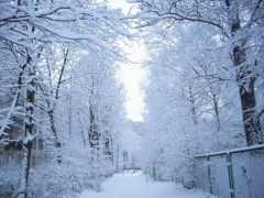 Новости  - В Казани будет ясная и морозная погода