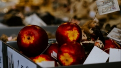 В торговых центрах пройдут новогодние ярмарки для самозанятых