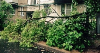 Ураган повалил более 200 деревьев в центре Казани