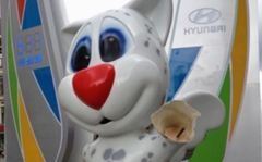 Новости  - Вандала, сломавшего лапу барсику Юни, задержали по горячим следам