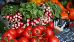 Новости Общество - В лесопарке «Дубрава» пройдет фудшеринг