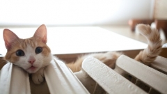 Новости  - В Казани без отопления остаются 29 многоквартирных домов