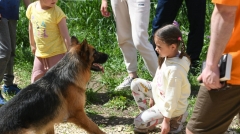 Новости Не проходите мимо! - Завтра в одном из казанских парков пройдет акция «Лапа дружбы»