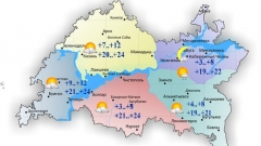 В Татарстане сегодня воздух прогреется до 24 градусов тепла