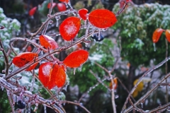 Новости  - В Татарстан придут аномальные холода