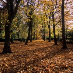 Новости  - Жители Татарстана в октябре отдохнут три дня