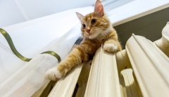 Новости Общество - В понедельник дадут тепло в жилые дома Казани